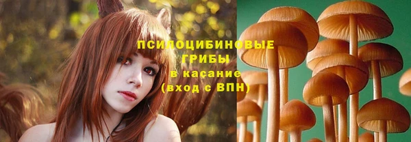 ALPHA PVP Володарск