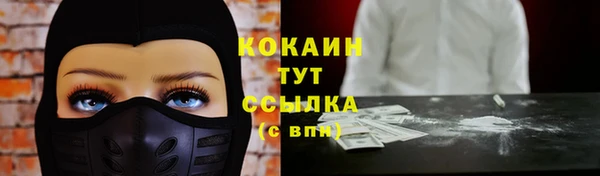 СК Волоколамск