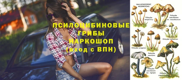 СК Волоколамск